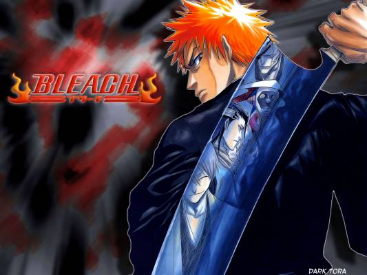 Otaku Gallery  / Anime e Manga / Bleach / Wallpapers / 024.jpg